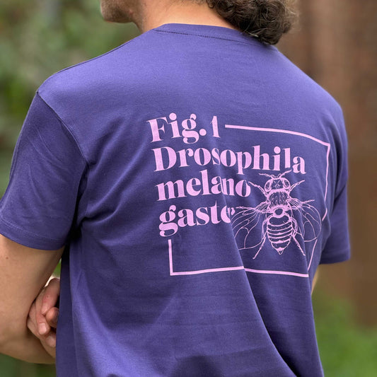 T-Shirt Drosophila