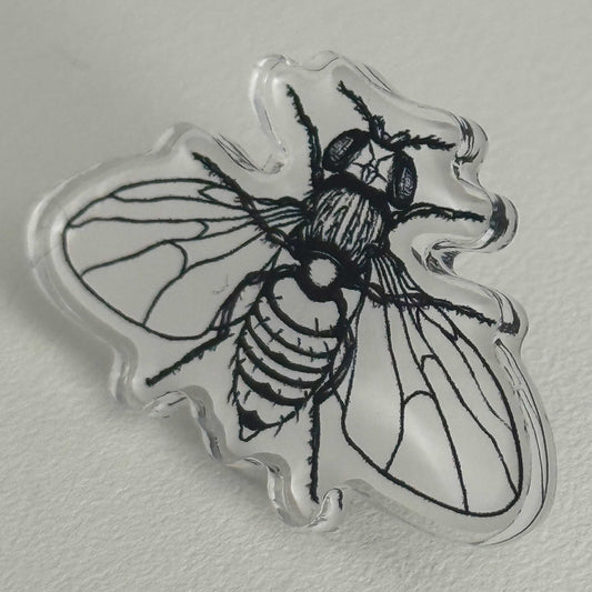 Ansteck-Pin "Drosophila"